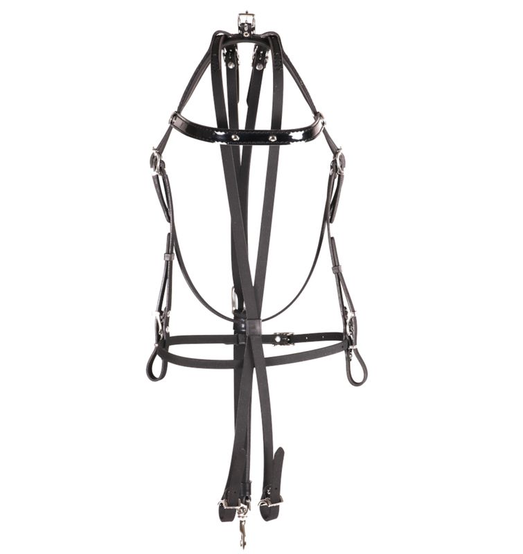 RacingTack Zaum inklusive Scheck RacingTack Zaum inklusive Scheck