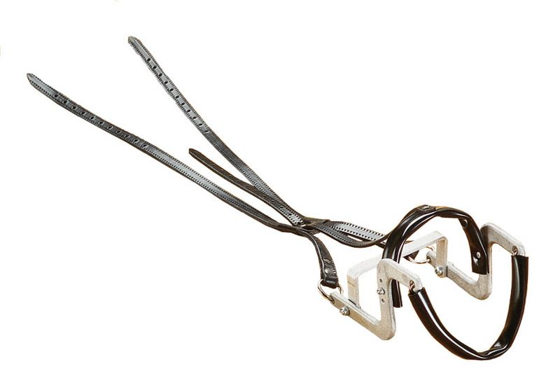 Wahlsten Amerikanischer Bügelscheck