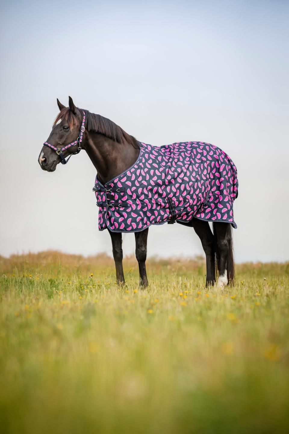 ​Horse Guard Melon Turnoutdecke – Standardhals, 0 g