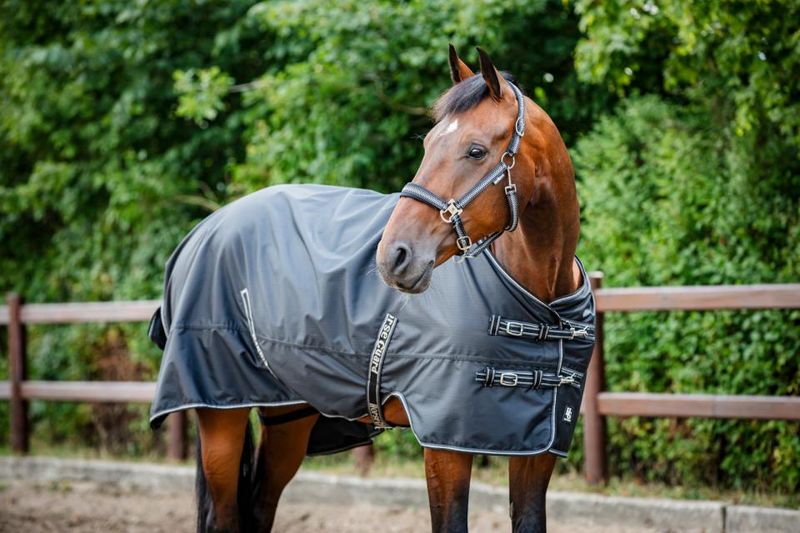 Horse Guard Aron 600D Turnoutdecke, 50 g