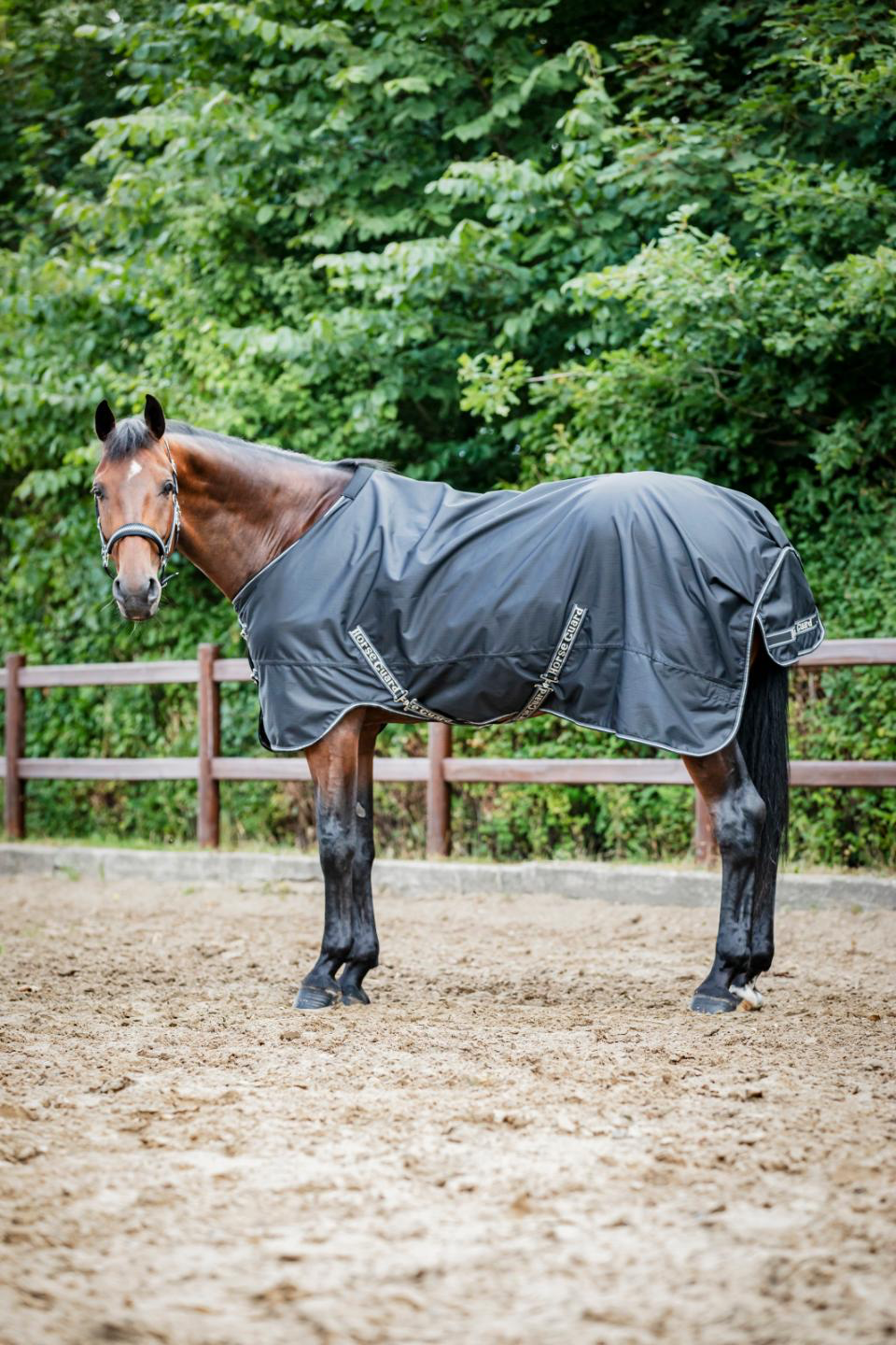 Horse Guard Aron 600D Turnoutdecke, 50 g
