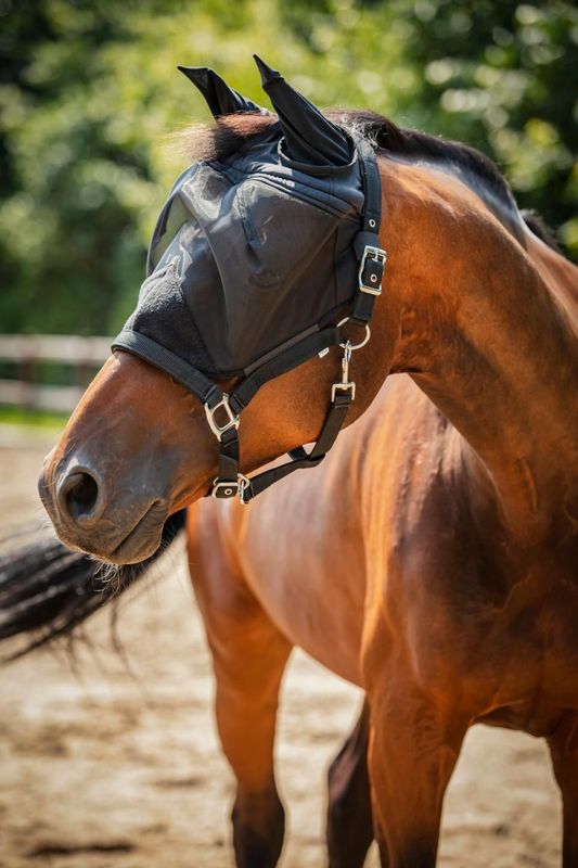 HorseGuard Fliegenschutzhalfter