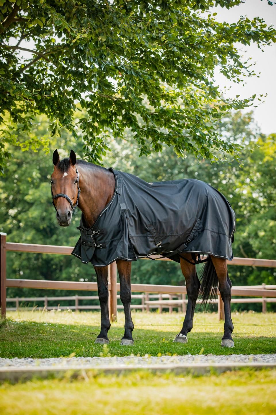 Catago Endurance 2.0 1680D Regendecke