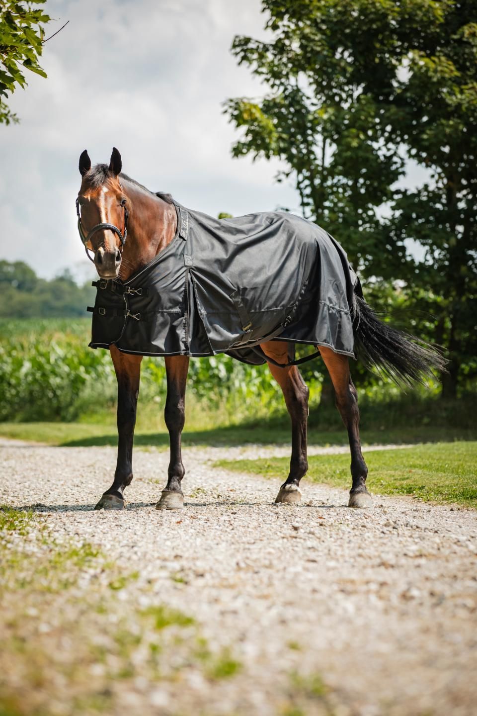 Catago Endurance 2.0 1680D Regendecke