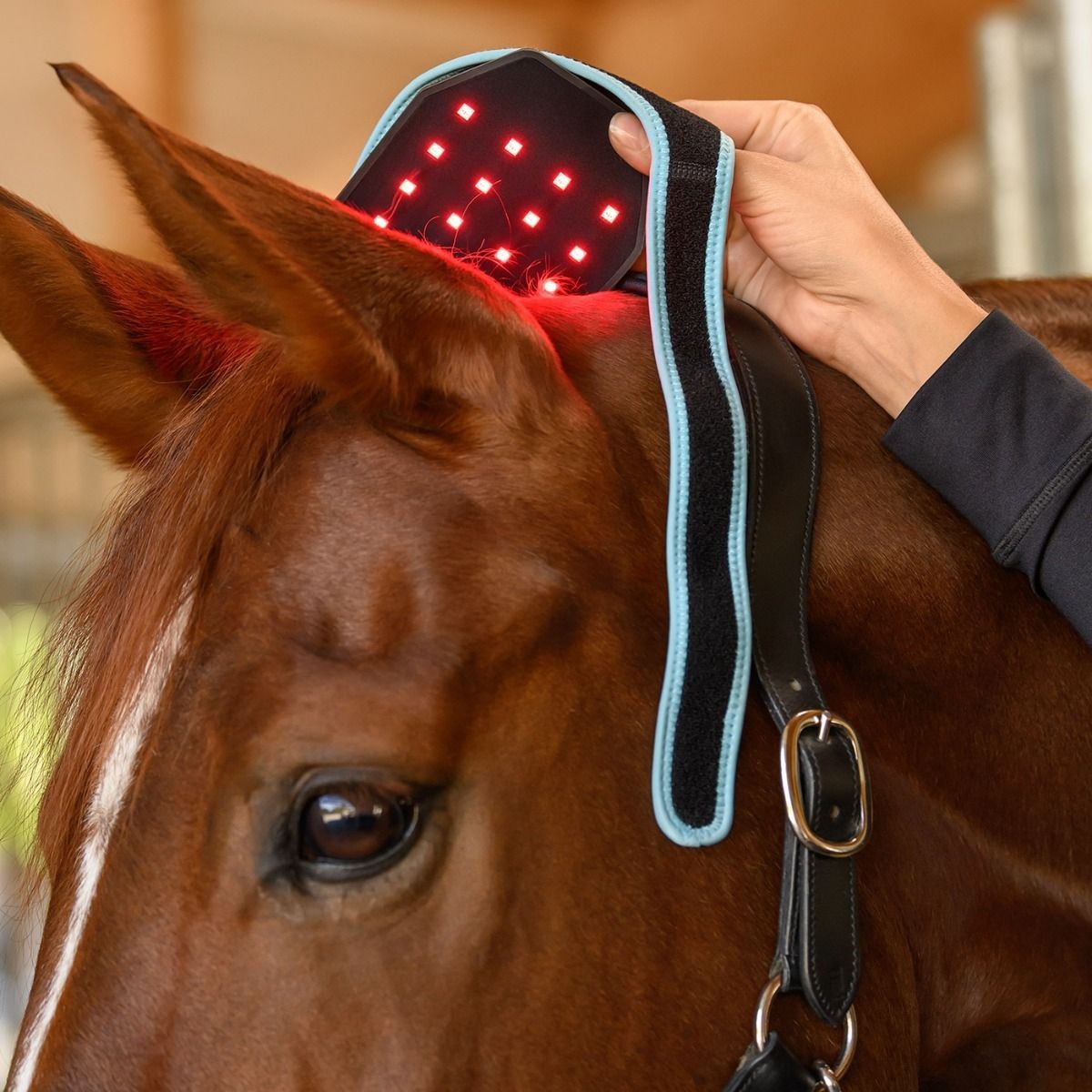 Waldhausen Health + Care Infrared FlexPad