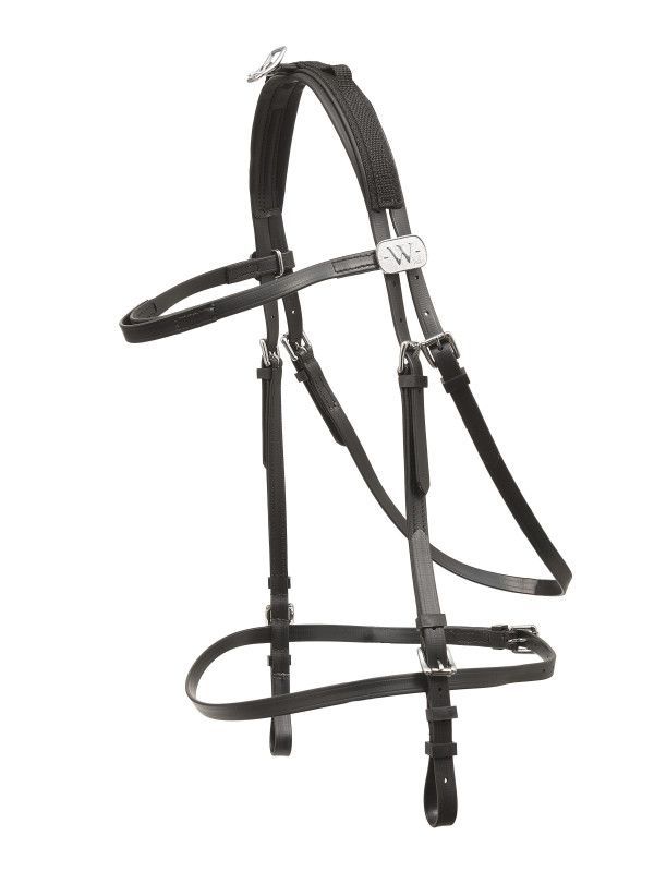 Wahlsten Economy Zaum – Full