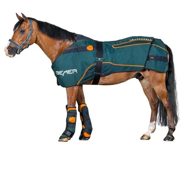 MIETE Bemer Horse Set MIETE Bemer Horse Set