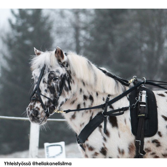 ​GP-Tack Pony Lederzaum