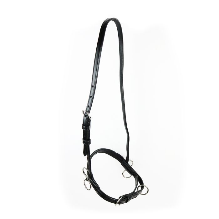 GP-Tack Leder-Sperrhalfter – Pony GP-Tack Leder-Sperrhalfter – Pony