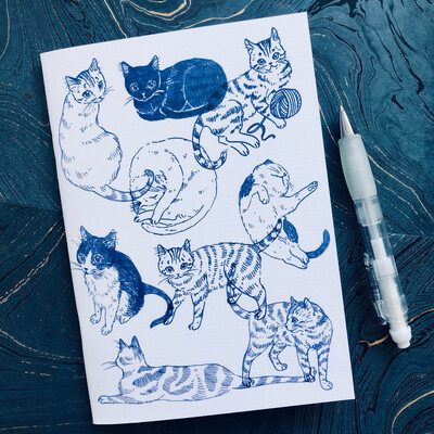 Blue cats blank notebooks