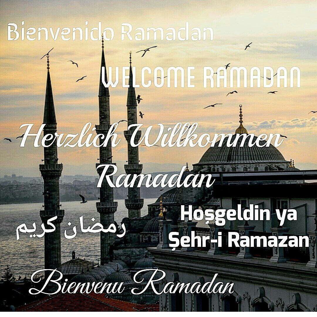 BlackFriday- Discount!