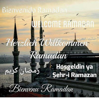 BlackFriday- Discount!