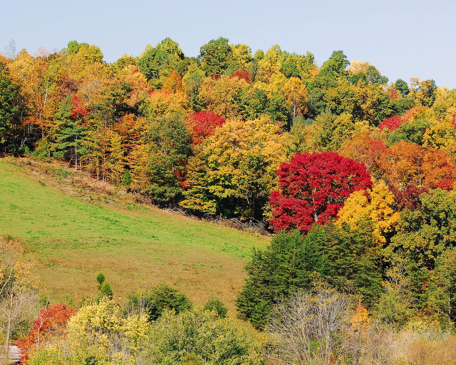 Hold Me Tight® Workshop--October 2025--Boone, NC--$1150 per couple (plus lodging)