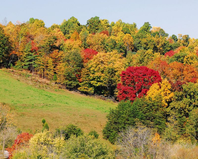 Hold Me Tight® Workshop--October 2025--Boone, NC--$1150 per couple (plus lodging)