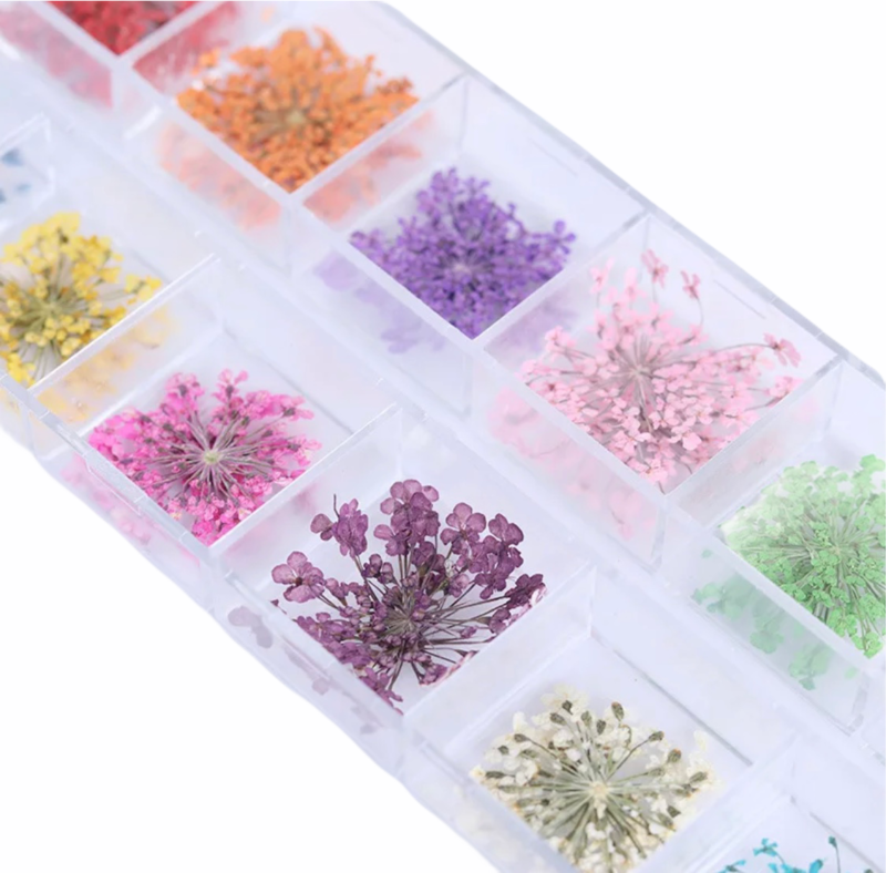 Dried Flowers
