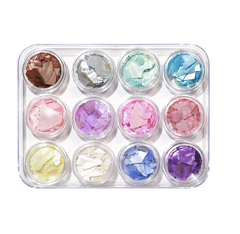 NIS Abalone Shell 12pc