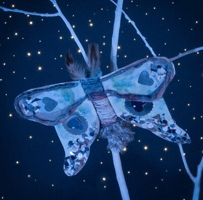 Starlight Moth Kit
