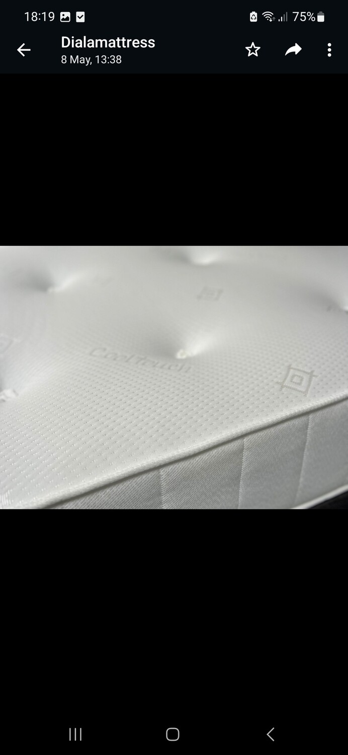Ortho Memory Mattress
