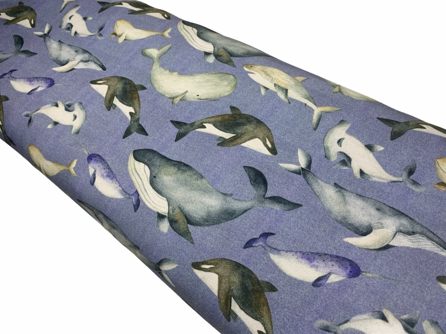 Jersey Wale Hellblau