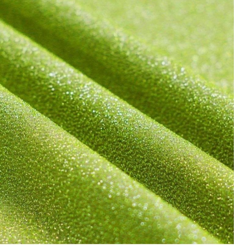 Glitzerjersey Limette