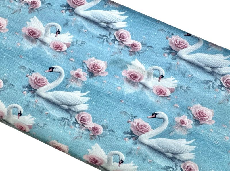 Bio Jersey Schwäne im Rosenteich