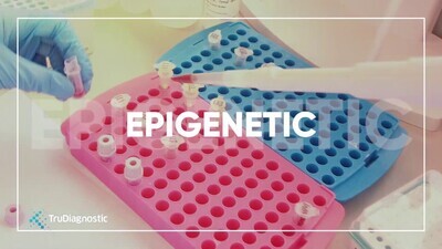 Epigenetic Hair Scan: Personalised Health Test + 2 FREE eBooks! Epigenetic Hair Scan: Personalised Health Test + 2 FREE eBooks!