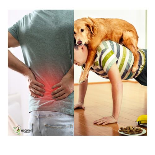 6 MONTHS C.R.E.A.M HOLISTIC HEALTH PLAN