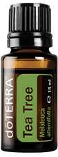 doTERRA Tea Tree (Melaleuca)