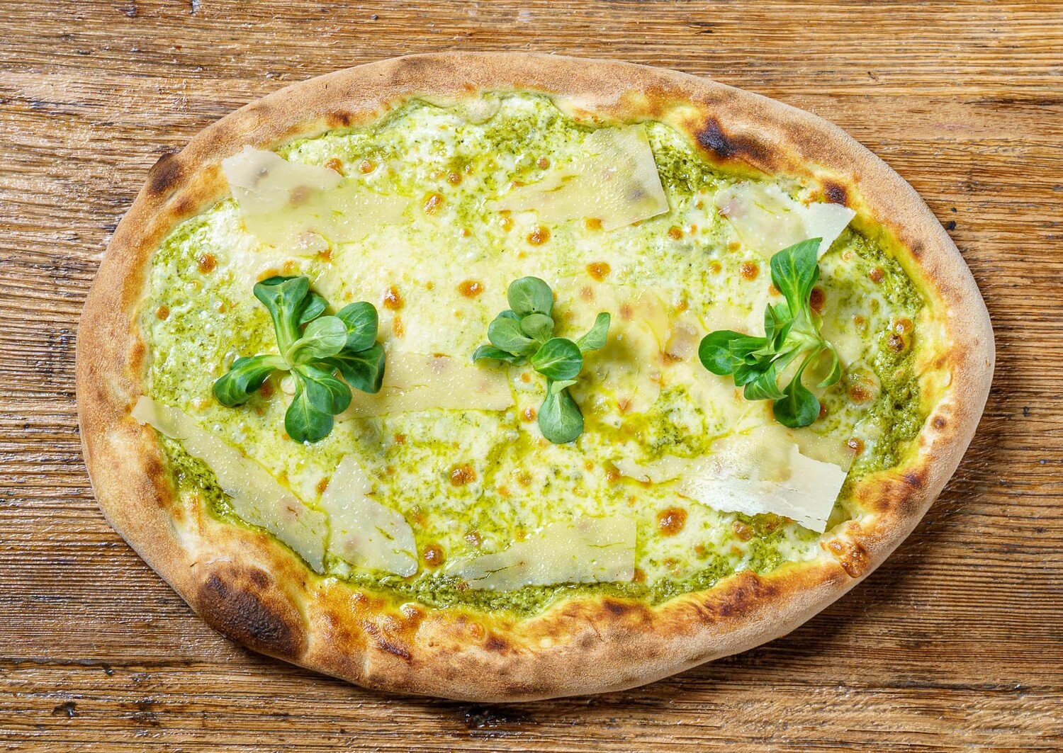 Pesto Pesto