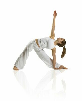 Yogalehrerausbildung 200h Modul IV
