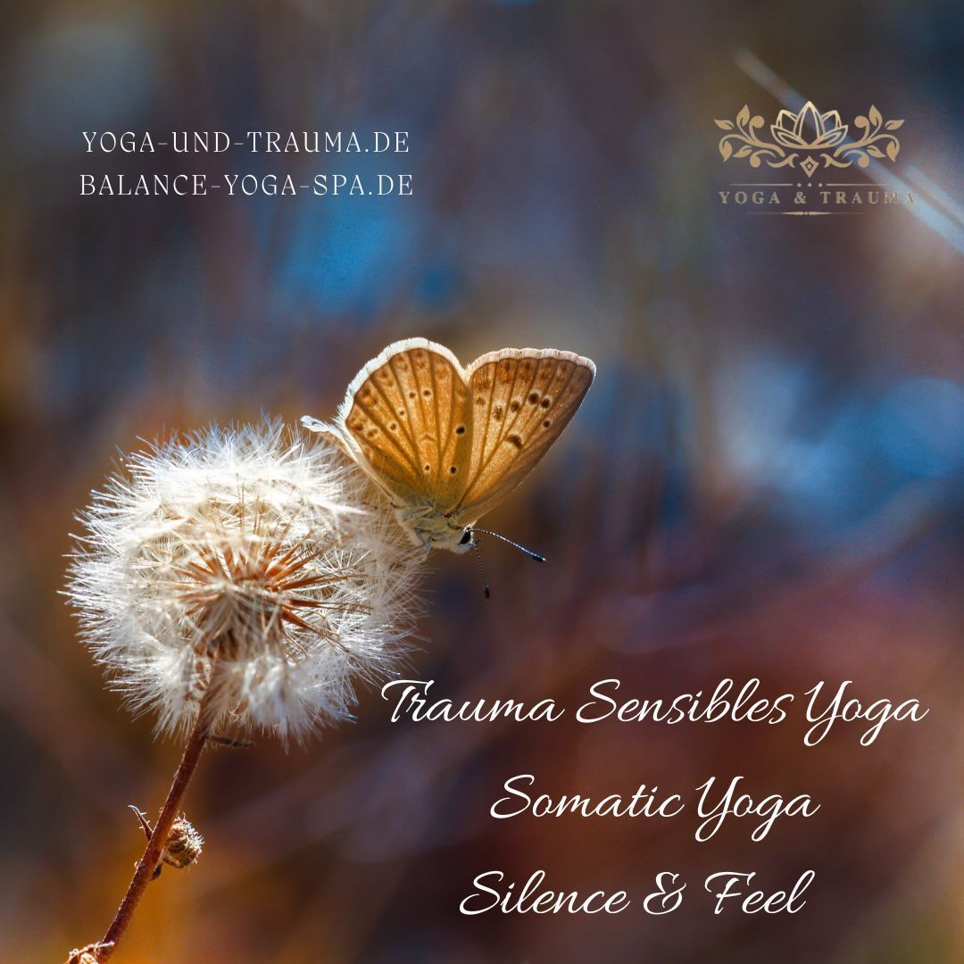 Traumasensibles Yoga Seminar