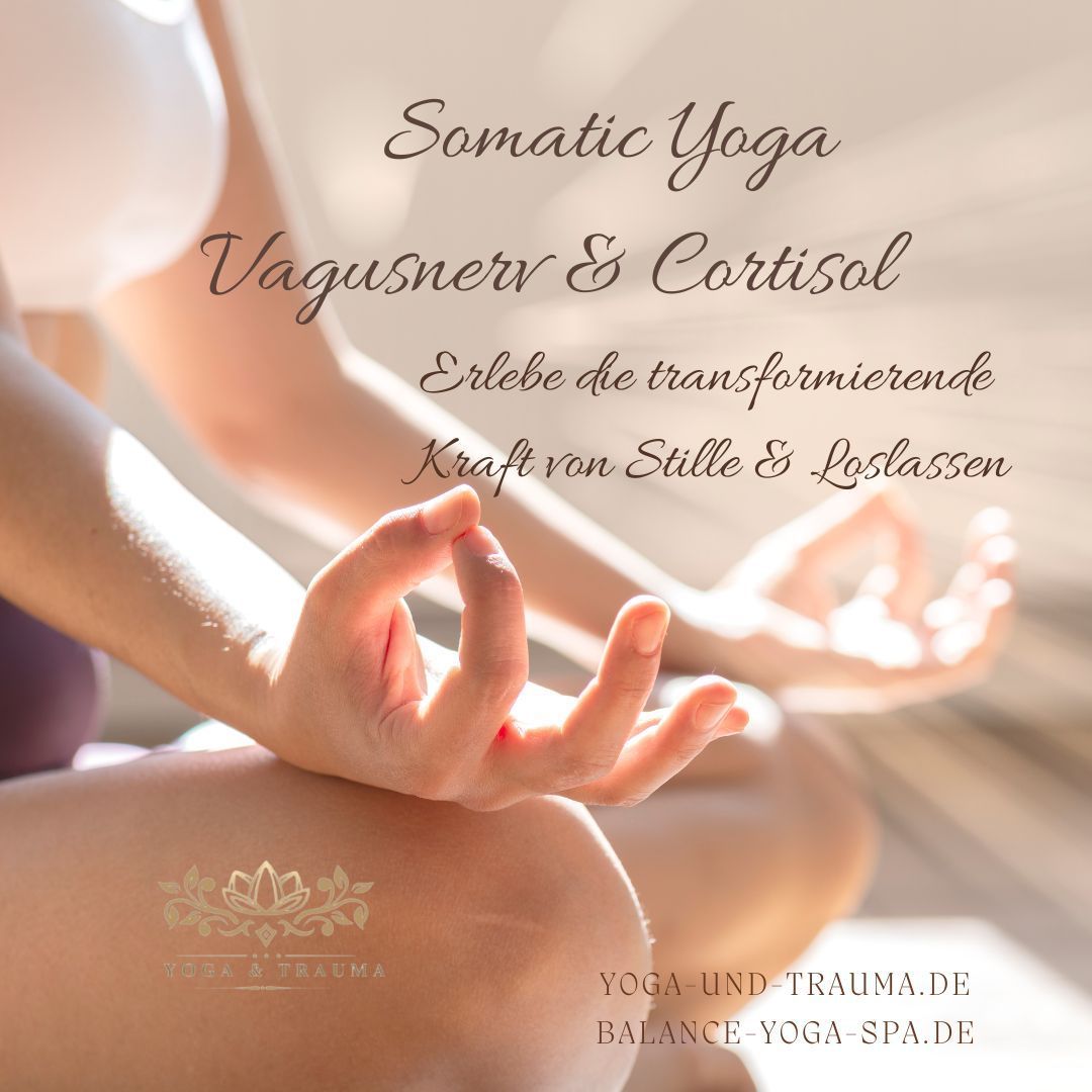 Somatic Yoga Workshop