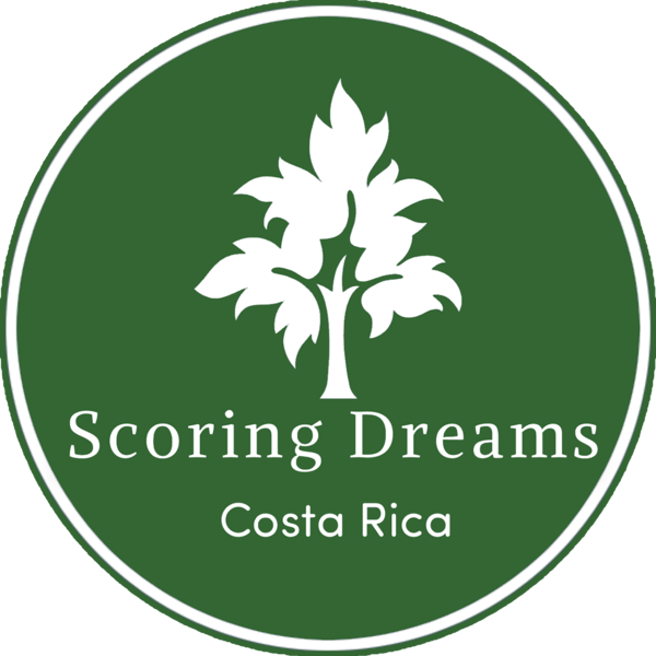 Scoring Dreams