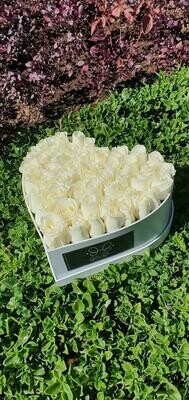 Box de Corazón XL