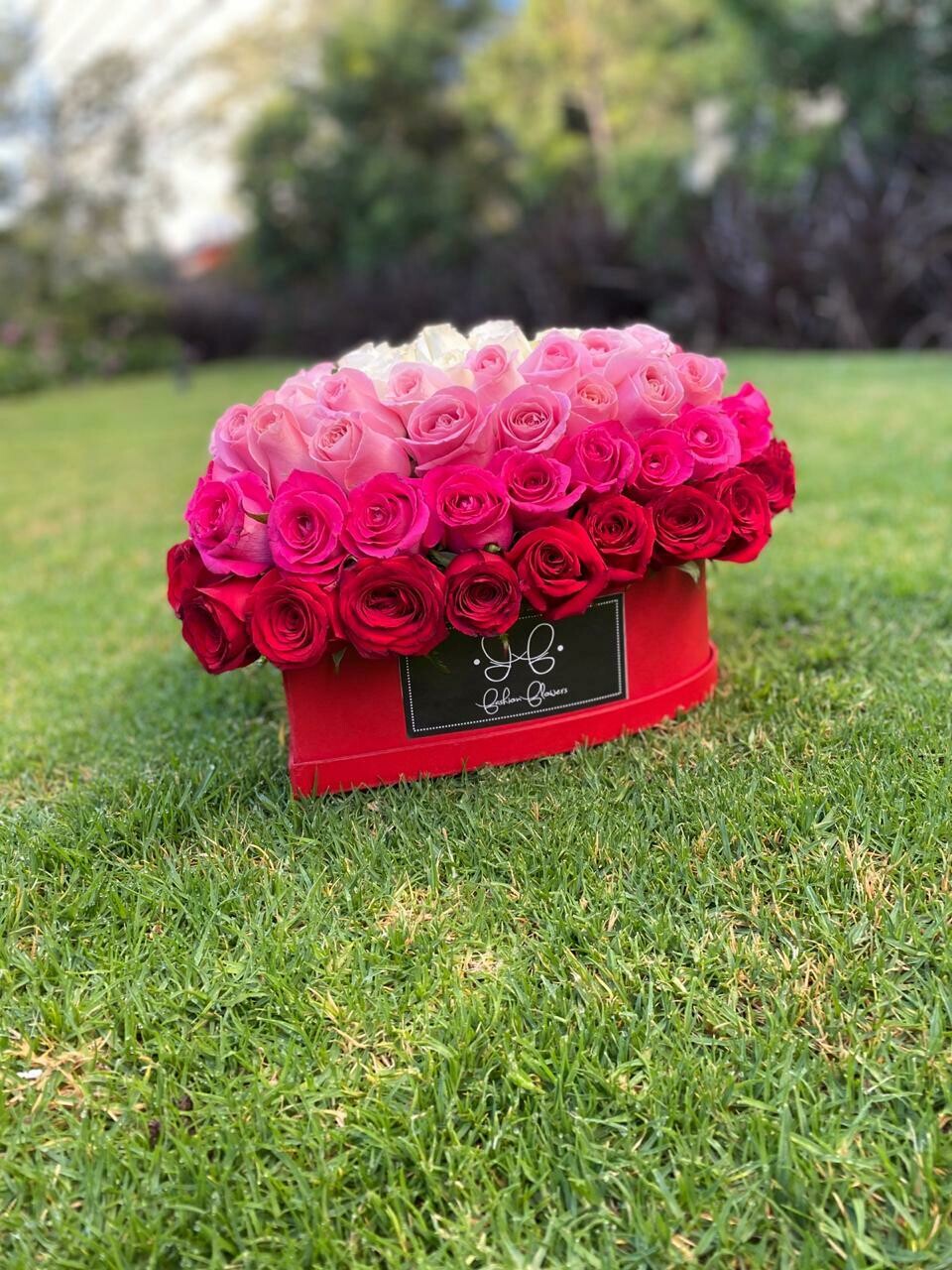 Box Corazón Hongo XL