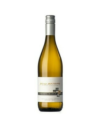 PICCOLO DERTHONA - VIGNETI MASSA PICCOLO DERTHONA - VIGNETI MASSA