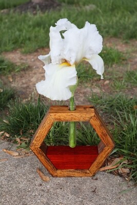 Vases, planters, and propagation stations 