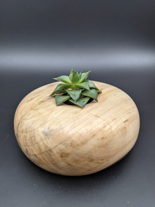 Spalted Maple Hollow Vessel