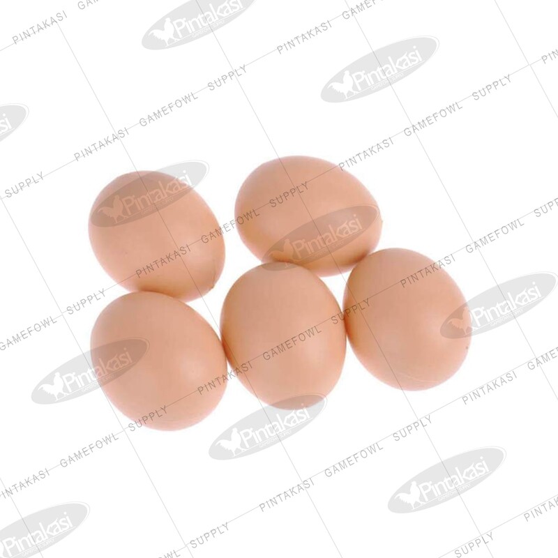 Artificial Plastic Egg