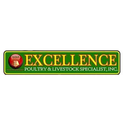 Excellence