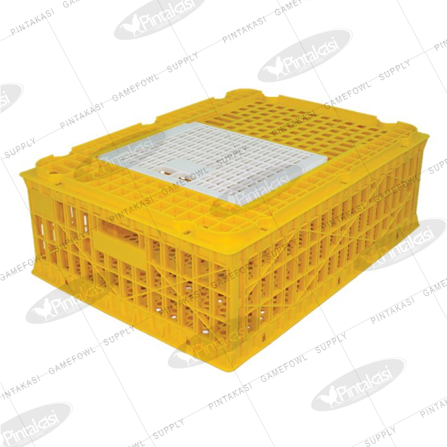 Yellow Chicken Crate