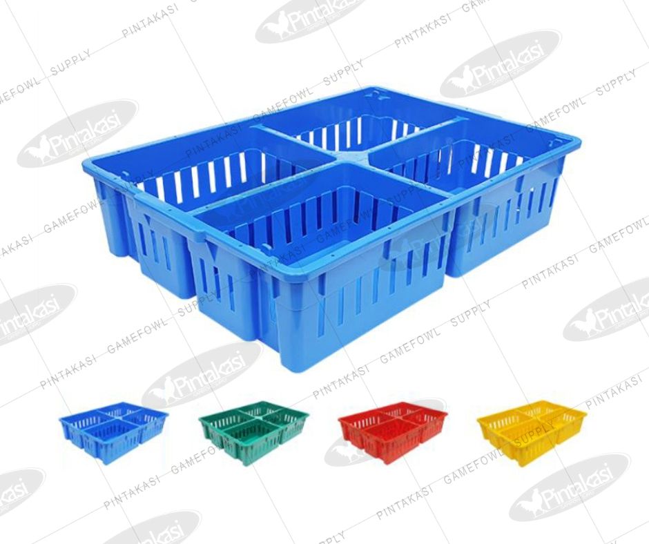 Day Old Chick Crate