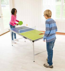 HS Pick-Up-and-Go Portable Table Tennis