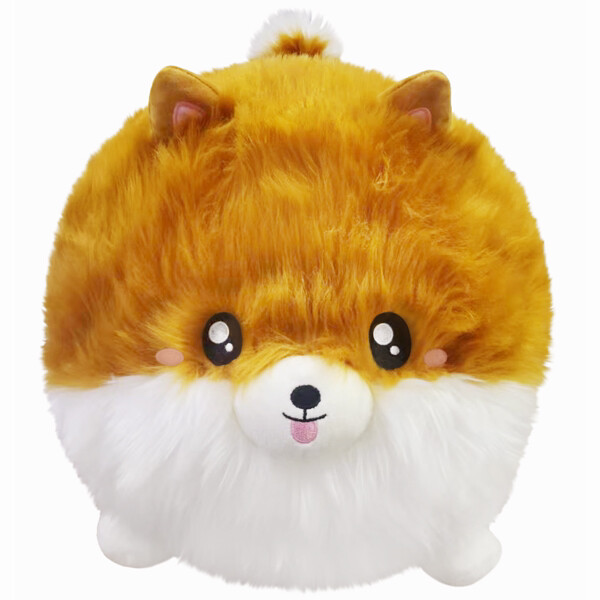 SQ Pomeranian 