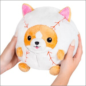 SQ Undercover Corgi in Baseball