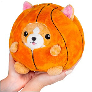 SQ Undercover Corgi in Basketball