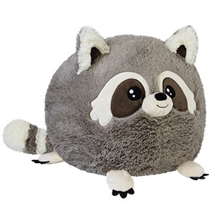 SQ Raccoon II