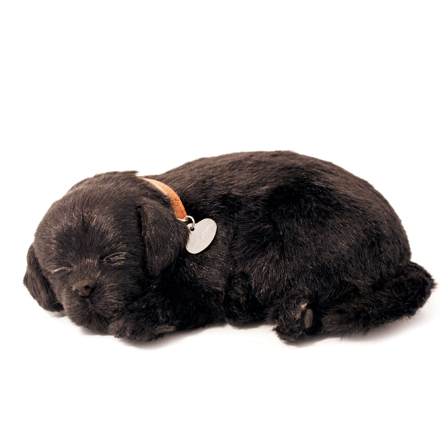 Perfect Petzzz Black Lab