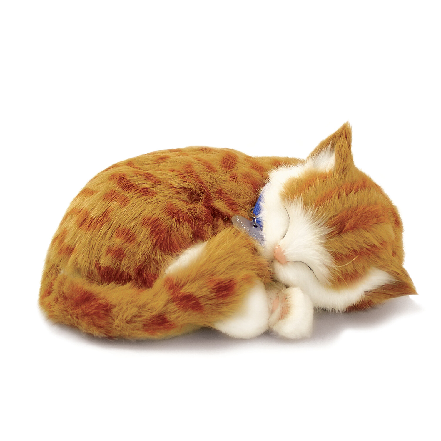 Perfect Petzzz Orange Tabby