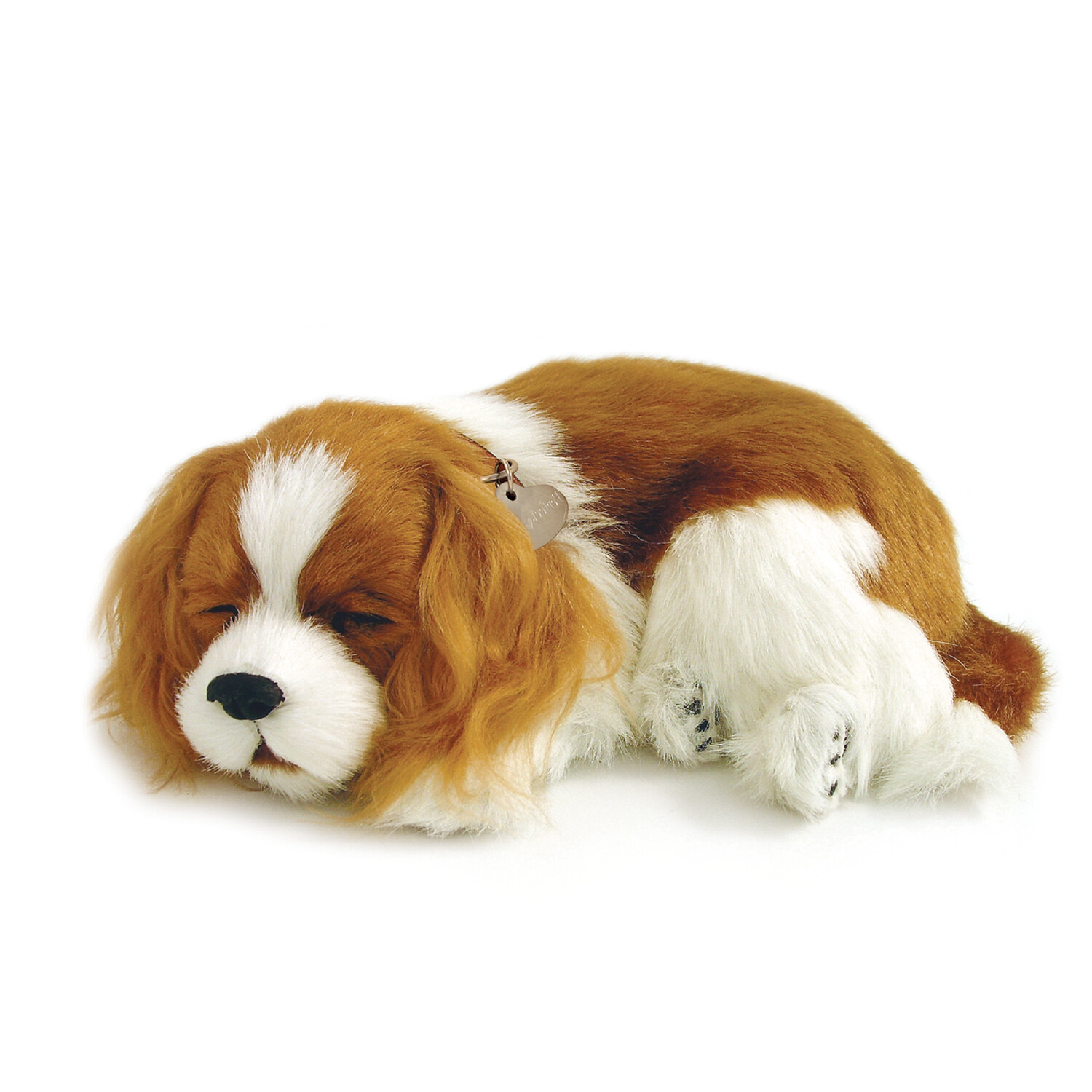 Perfect Petzzz King Charles Spaniel